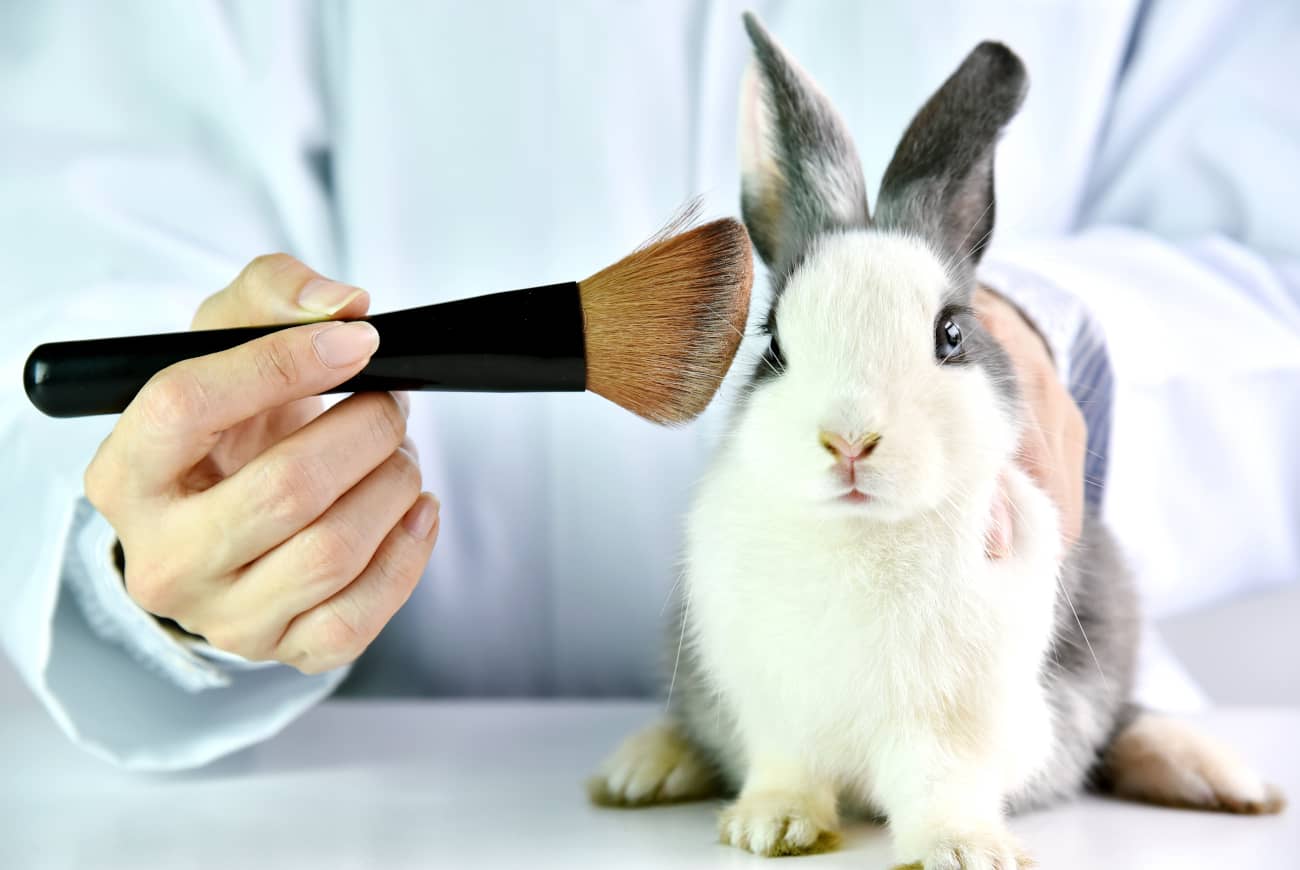 Cruelty free: ¿qué es y qué beneficios tiene?