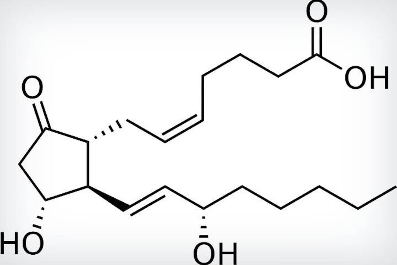 Prostaglandinas