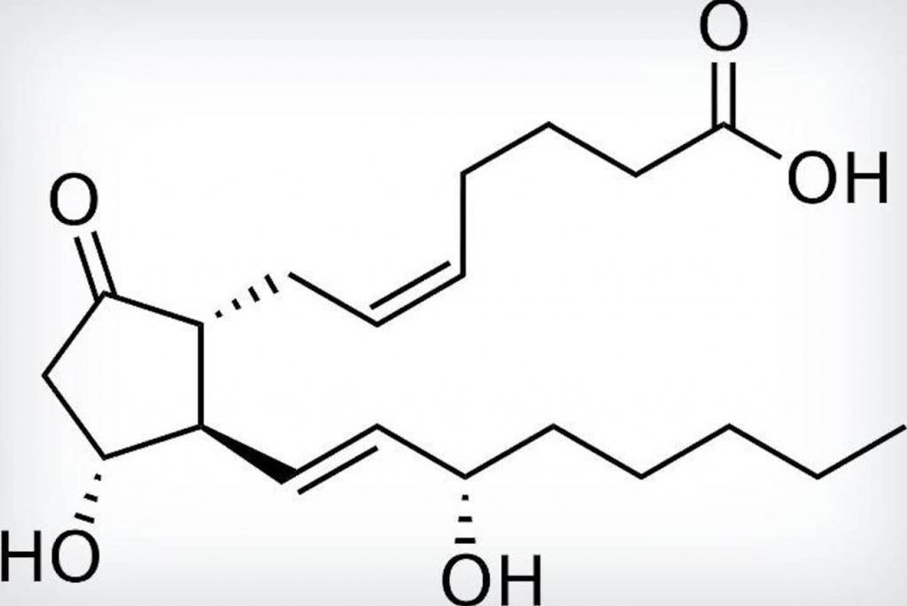 prostaglandina
